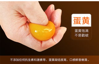 品味天然生態，福德錦放養土雞蛋——健康與禮遇的雙重臻選