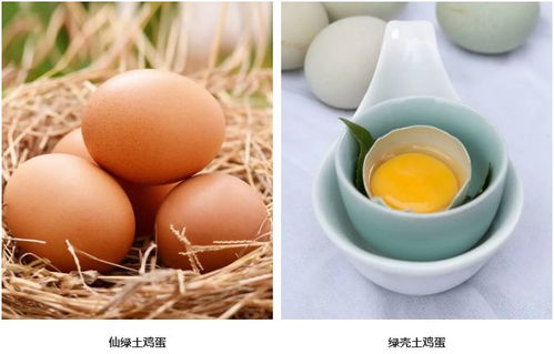 年味里的仙居 1月28日，臺創園邀你赴一場鄉土之約